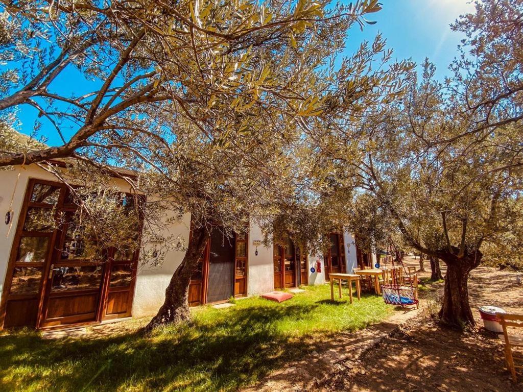 ホテル Yiva Kazdaglari Mehmetalani エクステリア 写真