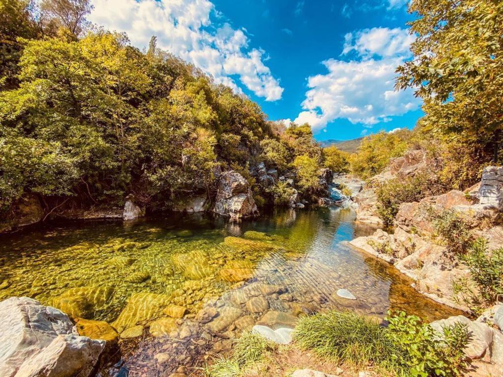 ホテル Yiva Kazdaglari Mehmetalani エクステリア 写真